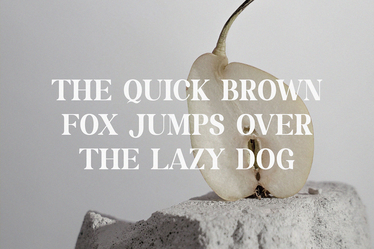Kodney - Modern Serif Font, a Serif Font by TypeLogue (Photo 2 of 5)