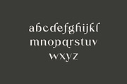 Jekaterina Modern Serif Font, a Serif Font by UICreative (Thumbnail 4 of 8)
