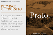 Hernandez Bros, a Serif Font by Latinotype (Thumbnail 5 of 15)