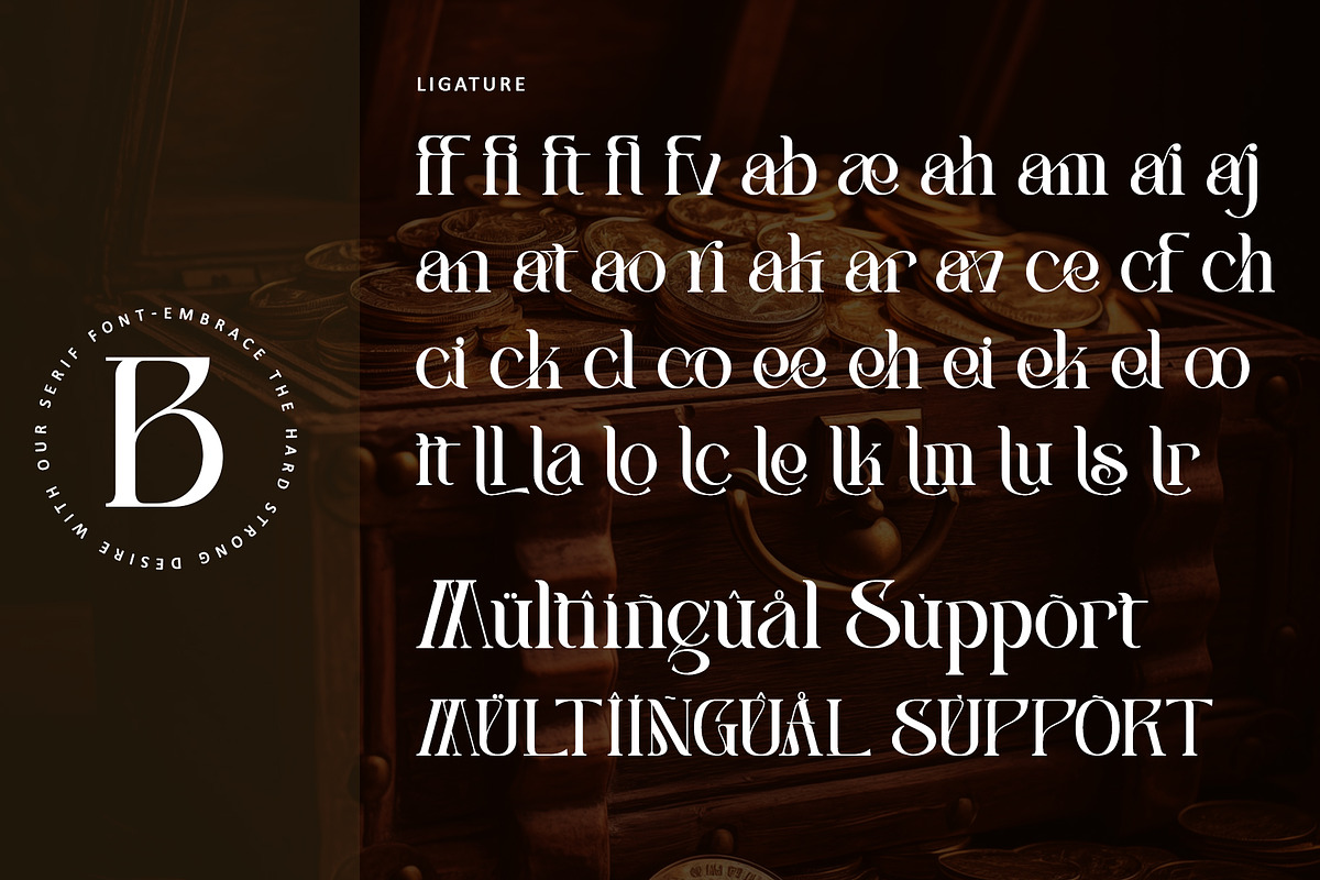 Centibillionaire, a Serif Font by Letterara (Photo 10 of 13)