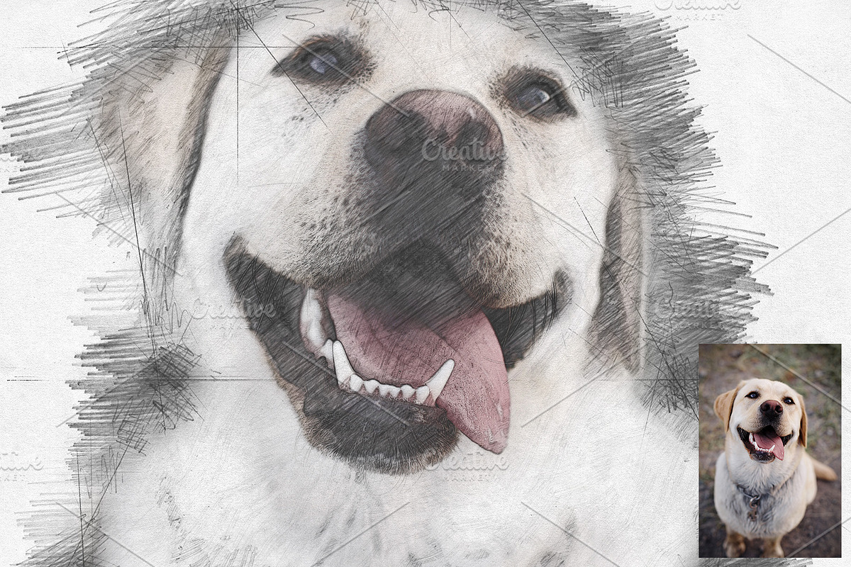 Pencil Sketch Photoshop Action, an Action Add-On by AndriyFM (Photo 7 of 15)