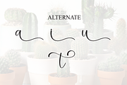 Cactus | Script Font, a Handwritten Font by Scratchones (Thumbnail 8 of 9)