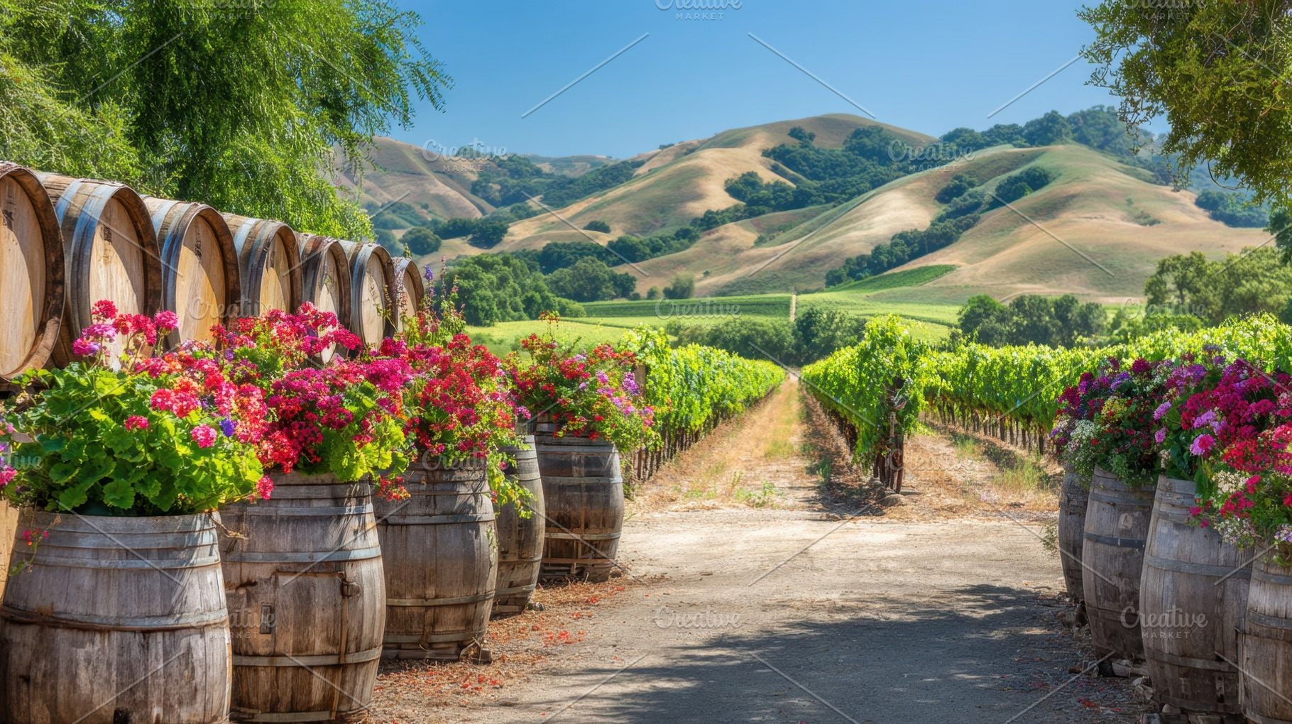 Sunny vineyard with barrels, flowers, a Photo by Beautiful things