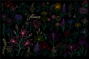 Set of elegant colored flowers.