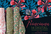Poinciana Summer Pattern Set, a Pattern Graphic by Sketchbook Designs (Thumbnail 1 of 8)