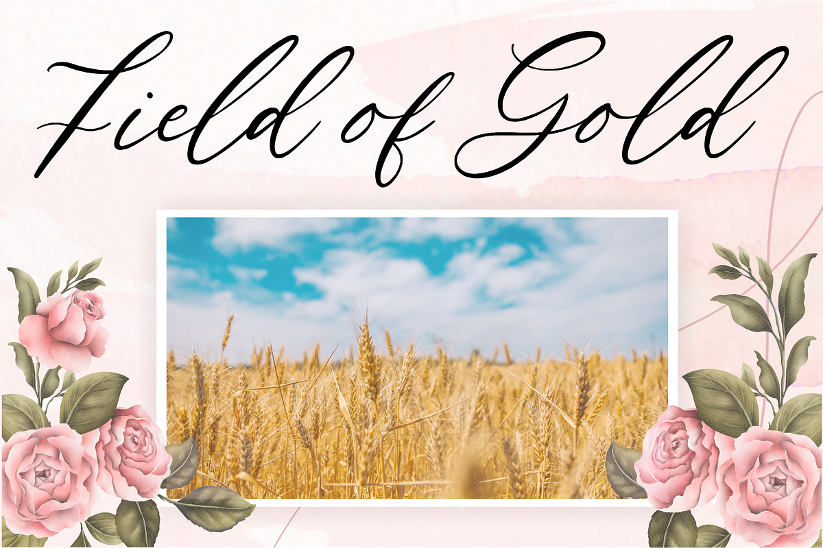 Natural Garden - Modern Script Font, a Script Font by Balpirick Studio (Photo 5 of 7)