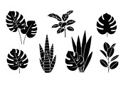 Minimal Botanical Leaf Silhouette Bu, an Illustration by Creativeshirt (Thumbnail 12 of 51)