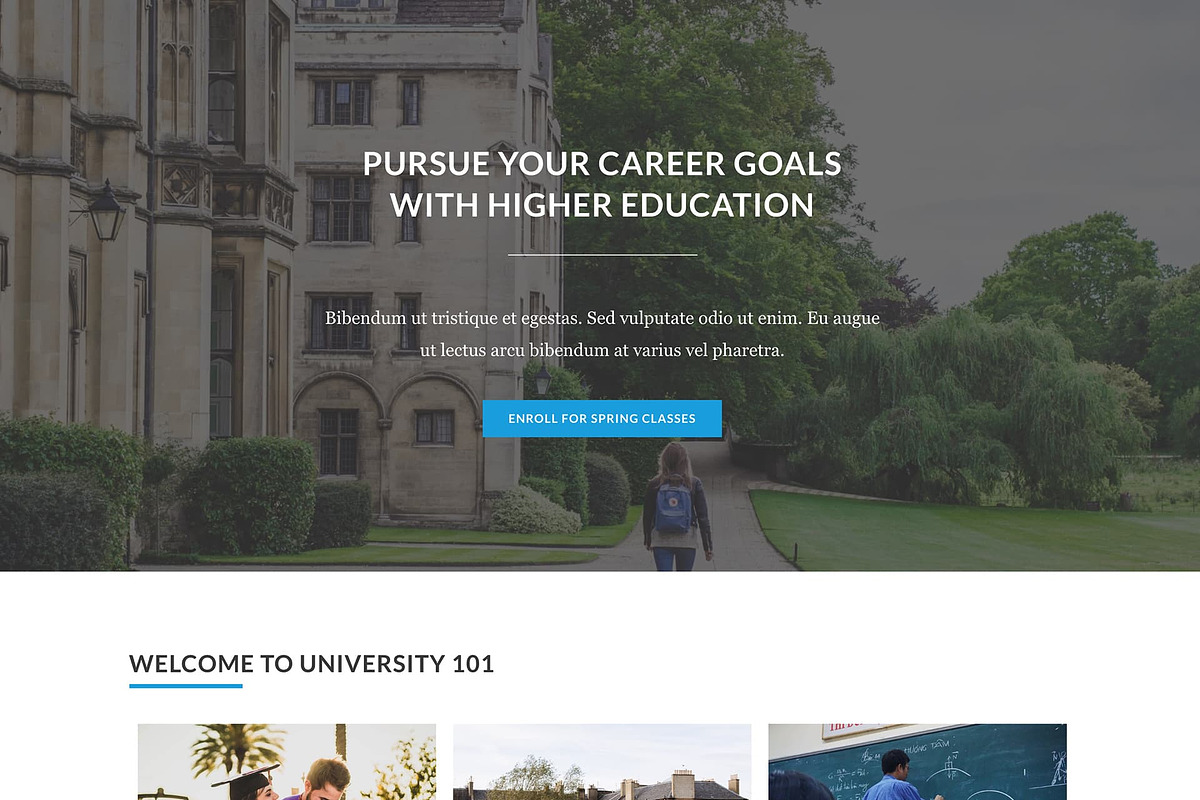 University 101 - Elementor Template, a Landing Page Template by Elementor Market (Photo 2 of 4)