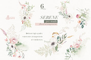 Serene. Watercolor Collection, an Illustration by OctopusArtis (Thumbnail 2 of 7)