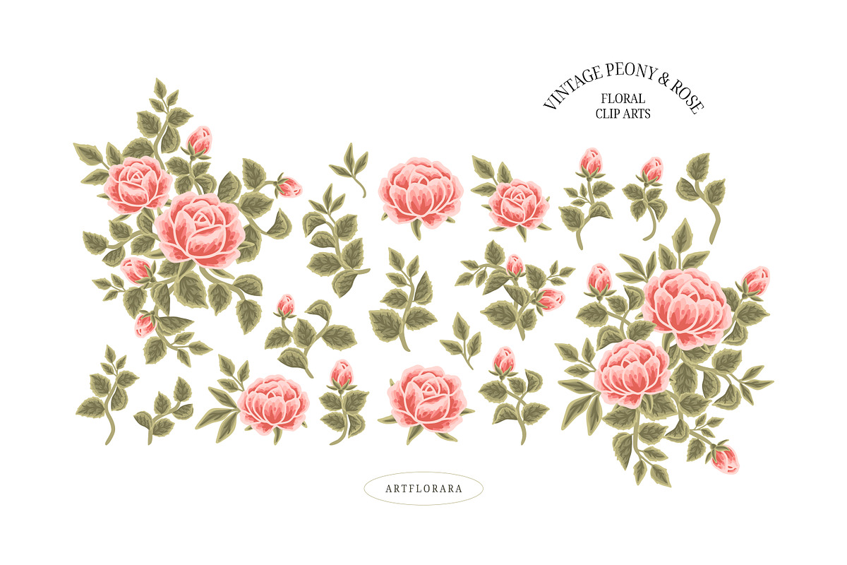 Vintage Peony & Rose Logo Set, an Object Graphic by Artflorara (Photo 7 of 9)
