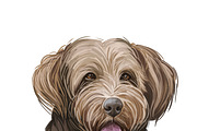 Poodle Cross Breeds 27 Dogs/Puppies, an Animal Illustration by Dneprstock (Thumbnail 20 of 27)