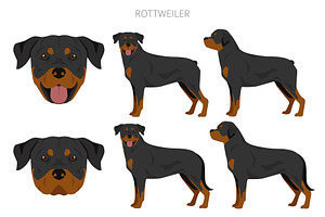 Rottweiler Clipart