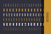 Romanova – A Luxury Font Family, a Sans Serif Font by alpercakici (Thumbnail 9 of 19)
