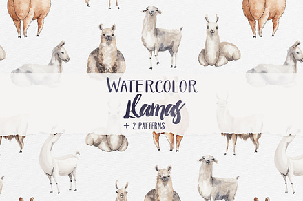 Watercolor Llamas + 2 Patterns