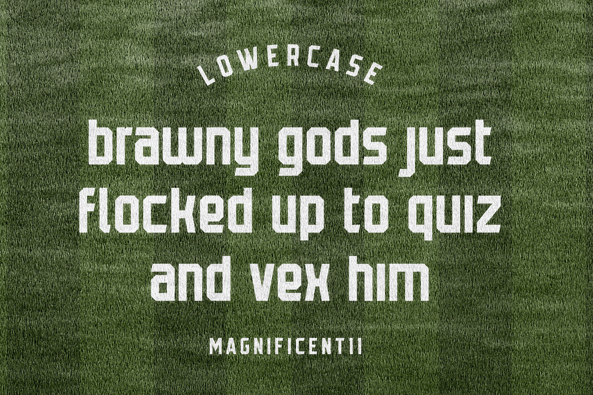 Magnificent11 Sans Serif Fonts, a Sans Serif Font by Alphabet Agency (Photo 3 of 9)