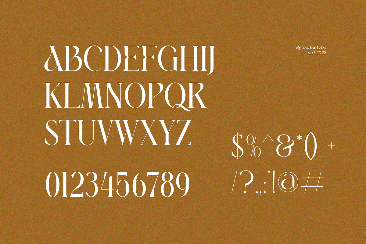 Kang Minter Elegant Serif Font, a Serif Font by Perfectype (Photo 7 of 7)