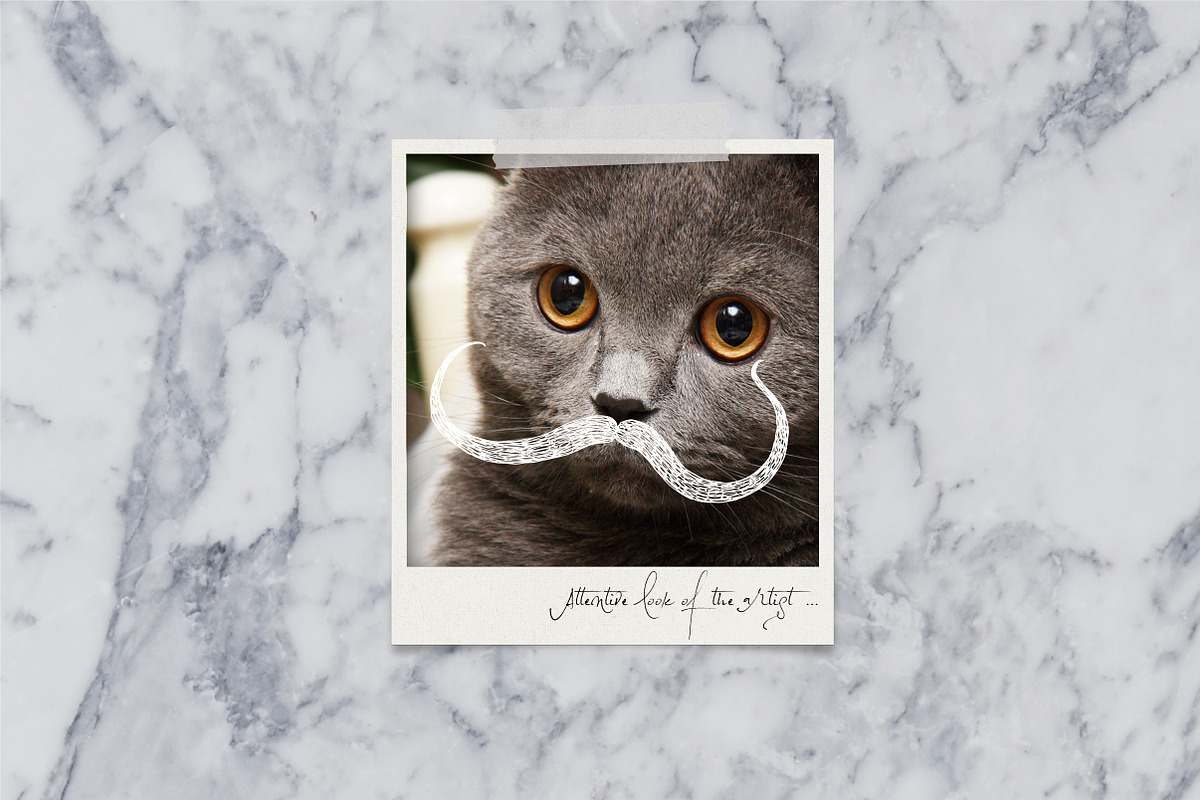 Mustaches and Beards, an Object Graphic by Nadia Emelianova (Photo 5 of 5)