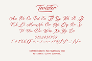 Twizler, a Script Font by Gatype (Thumbnail 9 of 11)