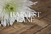 Valkirie - Classical Serif, a Serif Font by Schrifted Type (Thumbnail 3 of 8)