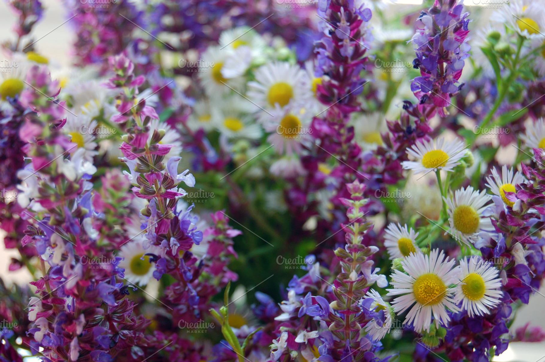 Spring flowers featuring blue, flower, and flowers, a Nature Photo by rebekka_ivacson