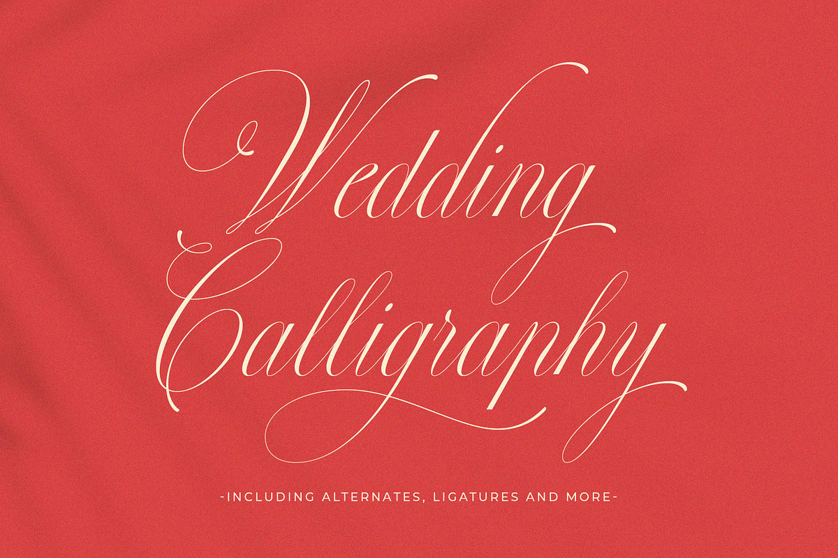 Perfections - Classy Romantic Script, a Script Font by BrandSemut (Photo 9 of 15)