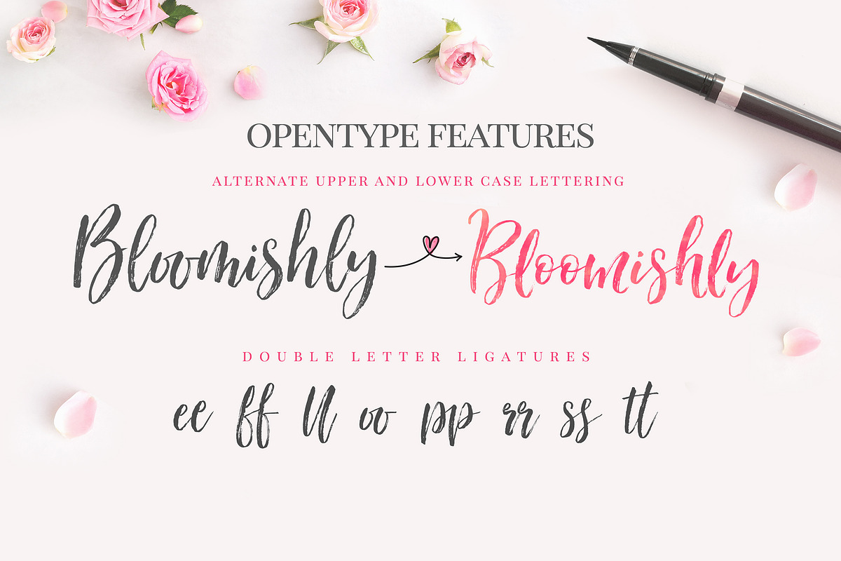 Bloomishly Brush Font, a Script Font by Nicky Laatz (Photo 10 of 11)