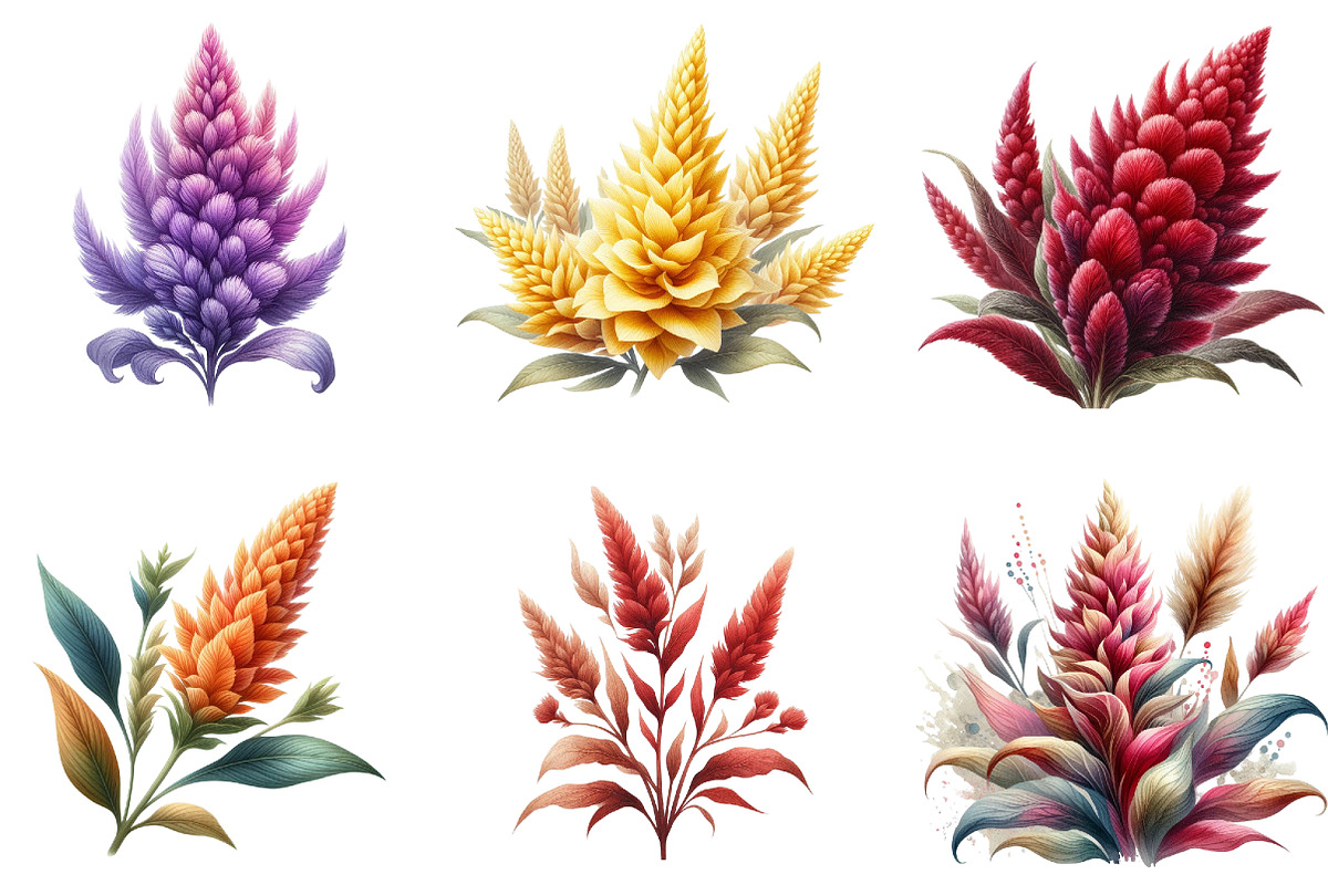 Celosia Flower Clipart, an Illustration by DreamArtGraphic (Photo 2 of 5)