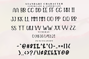 Beautiful Snowman, a Serif Font by FreshTypeINK (Thumbnail 5 of 8)