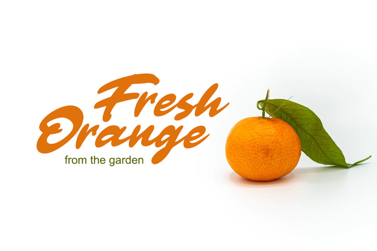 Clarkton - Bold Script Font preview 3