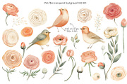 Everbloom Floral Collection, a Decorative Illustration by Anna Druzhkova (Thumbnail 6 of 22)