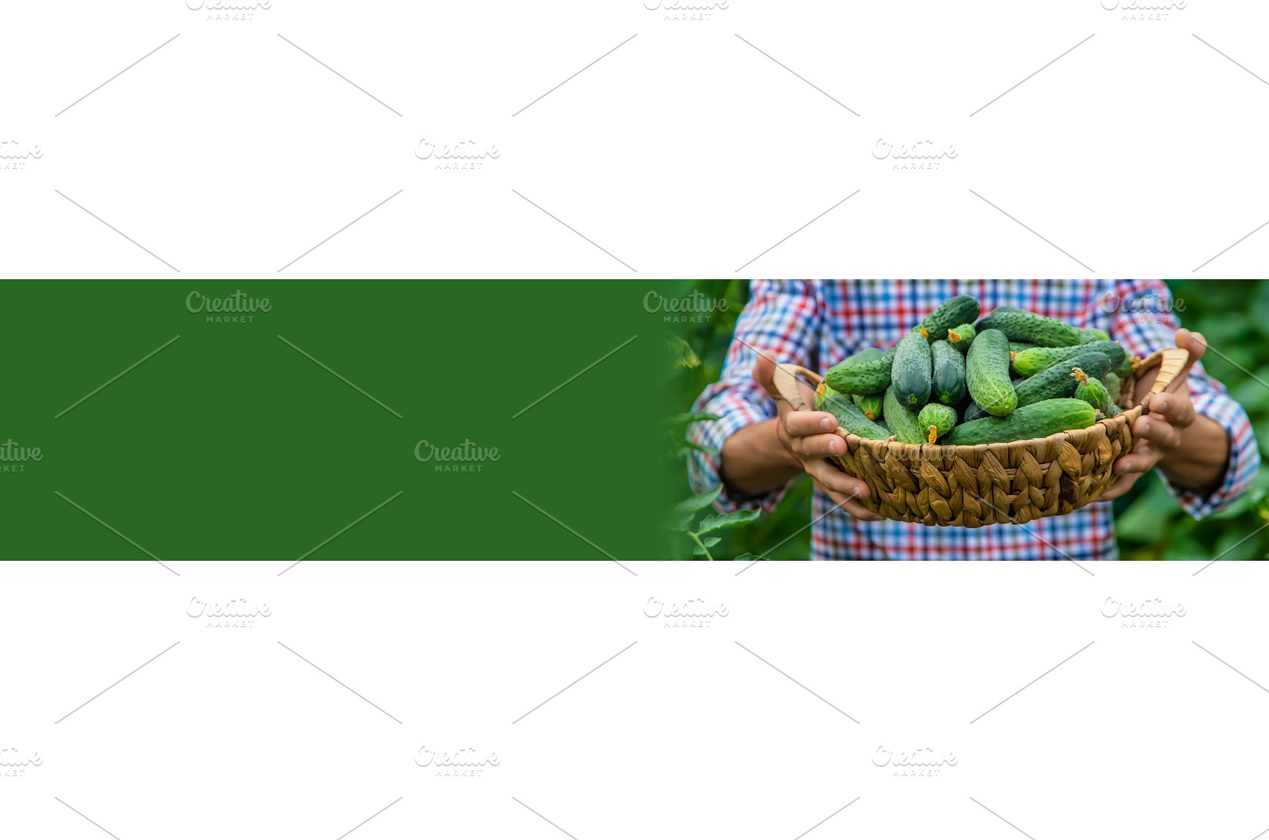 A man holds a harvest of cucumbers, a Food & Drink Photo by yanadjana