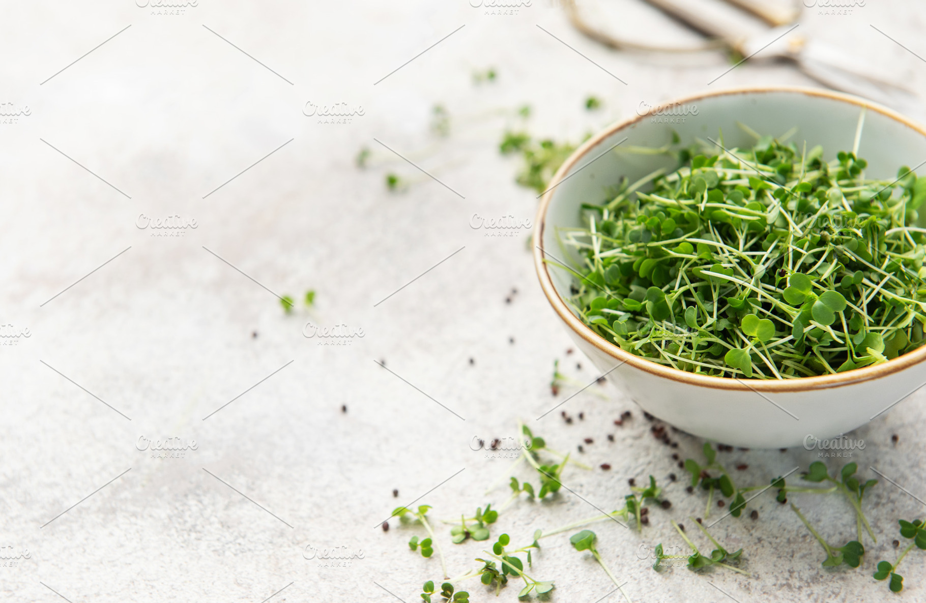 Fresh green microgreens in a bowl on a light surface, a Photo by Olena Rudo