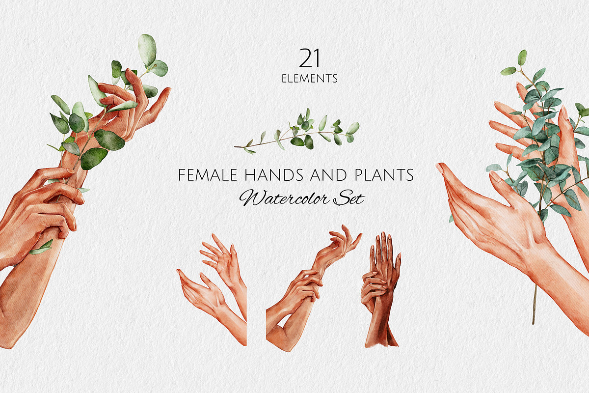 Female Hands and Plants Watercolor, a Person Illustration by Yakovleva Margarita (Photo 1 of 9)