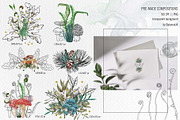 Mashrooms & Herbs Clipart, an Illustration by BalanceUA (Thumbnail 5 of 10)