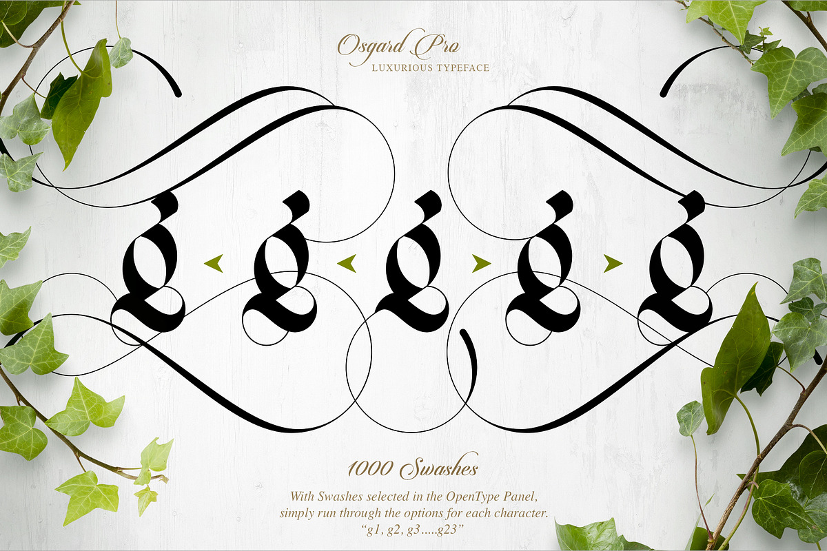 Font Bundle | Discount, a Handwritten Font by Anthony James (Photo 21 of 35)