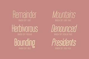 Braden Sans Font Family