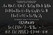 Belladia, a Handwritten Font by FreshTypeINK (Thumbnail 7 of 8)