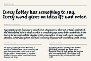 Wildwritten - Handwritten Script, a Script Font by Only Fonts (Thumbnail 5 of 15)