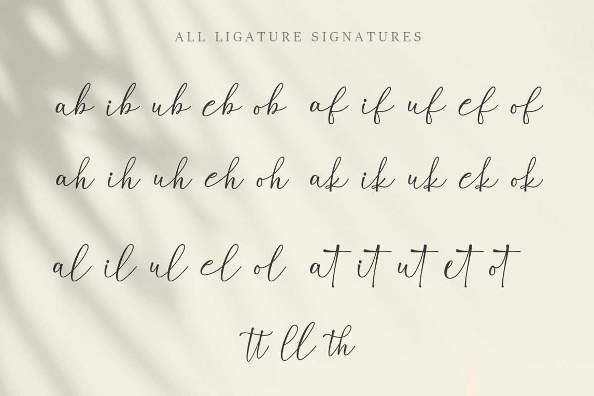 Rose Madina, a Serif Font by Struggle Studio (Photo 11 of 12)