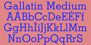 Gallatin Medium, a Slab Serif Font by Wooden Type Fonts (Thumbnail 2 of 2)