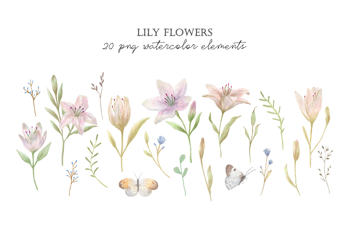 Lily Flowers. Watercolor Cliparts, a Decorative Illustration by Slastick (Photo 2 of 8)