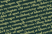 Zearlith - Modern Serif Font, a Serif Font by Rishsketch (Thumbnail 11 of 15)
