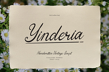 Yinderia Handwritten Vintage Script
