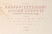 Ballory - Elegant Signature Font, a Script Font by Flawless And Co (Thumbnail 10 of 10)