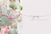 Palm Desert Modern Calligraphy Font, a Script Font by Beck McCormick (Thumbnail 8 of 10)