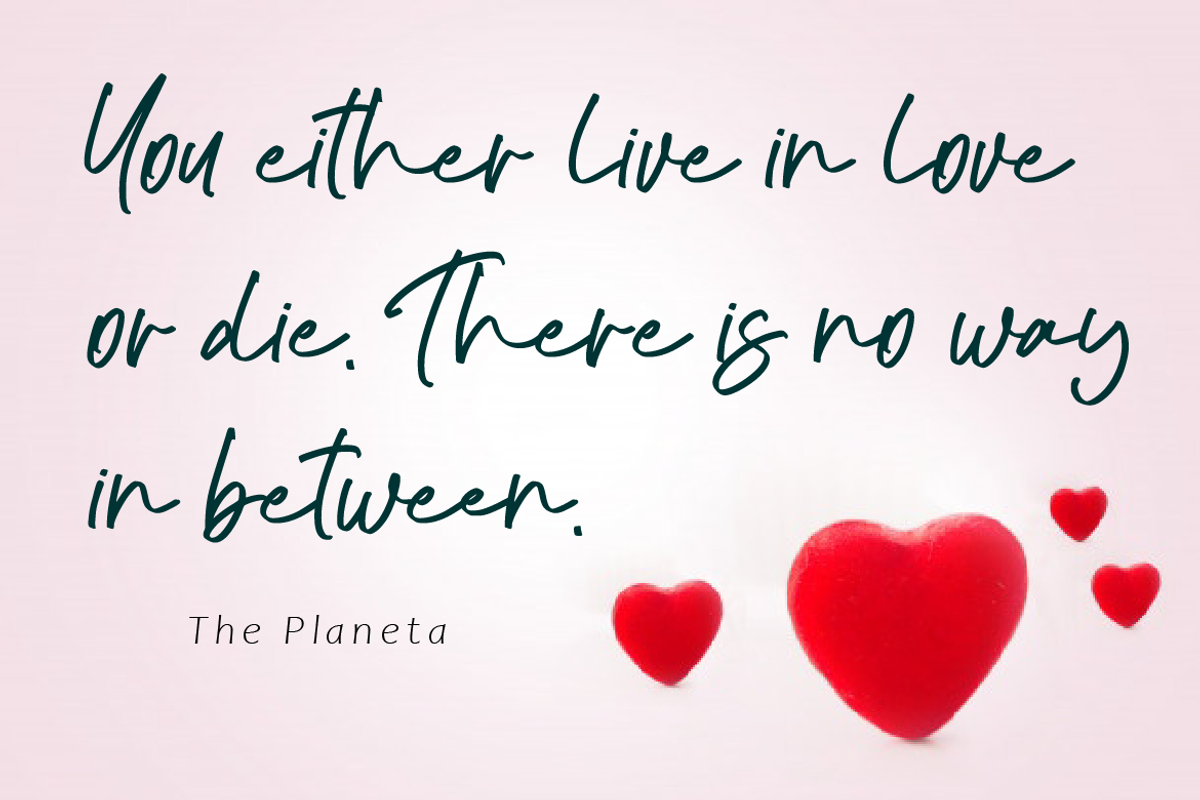 The Planeta, a Script Font by AMINMARIO (Photo 4 of 7)
