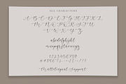 Admire Camelia - Modern Script Font, a Script Font by Timurtype (Thumbnail 6 of 7)