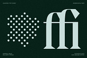 Tangled Rockaway Vintage Serif Font, a Serif Font by SilverStag Type Foundry (Thumbnail 12 of 18)
