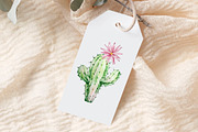 Watercolor Cactus Clipart, an Object Graphic by SvetaArtStore (Thumbnail 4 of 6)