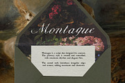 Montague - Script & Rough Duo, a Script Font by Mneme (Thumbnail 2 of 11)